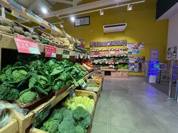 318-biocoop-magasin-bio-marseille-castellane-chou-brocolis-salade-fruit-legume-saison-local-producteur.webp